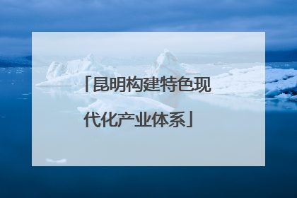 昆明构建特色现代化产业体系