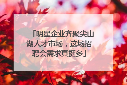 明星企业齐聚尖山湖人才市场，这场招聘会需求真挺多