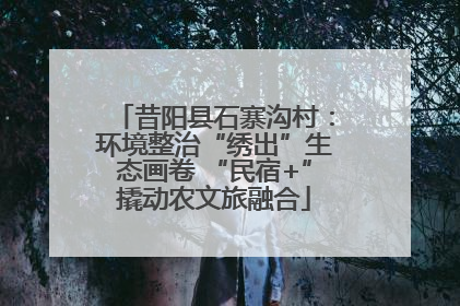 昔阳县石寨沟村：环境整治“绣出”生态画卷 “民宿+”撬动农文旅融合