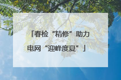 春检“精修”助力电网“迎峰度夏”