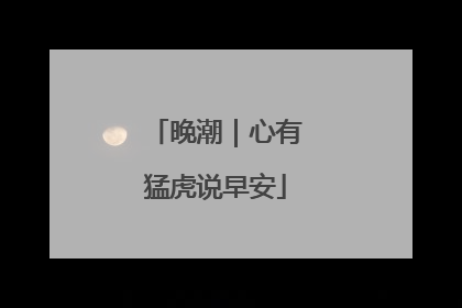 晚潮｜心有猛虎说早安