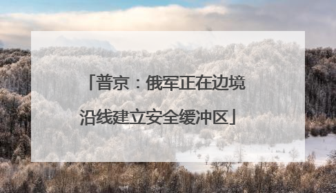 普京：俄军正在边境沿线建立安全缓冲区
