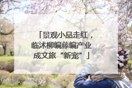 景观小品走红，临沭柳编藤编产业成文旅“新宠”