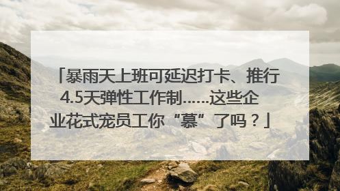 暴雨天上班可延迟打卡、推行4.5天弹性工作制……这些企业花式宠员工你“慕”了吗？