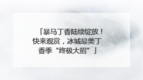 暴马丁香陆续绽放！快来观赏，冰城最美丁香季“终极大招”