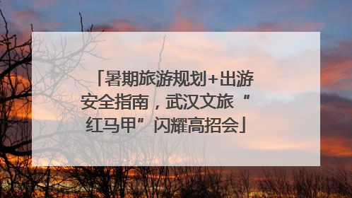 暑期旅游规划+出游安全指南，武汉文旅“红马甲”闪耀高招会