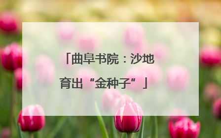 曲阜书院：沙地育出“金种子”