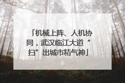 机械上阵、人机协同，武汉临江大道“扫”出城市精气神