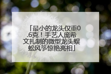 最小的龙头仅重0.6克！手艺人庞希文扎制的微型龙头蜈蚣风筝惊艳亮相