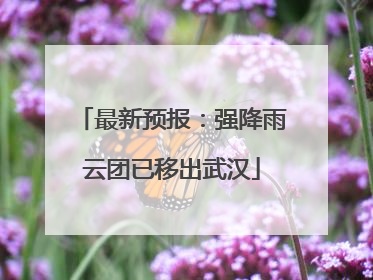 最新预报：强降雨云团已移出武汉