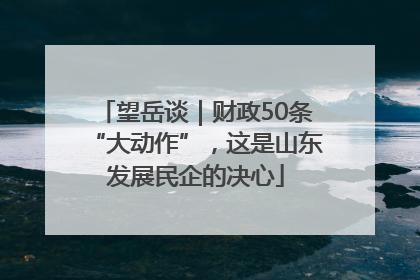 望岳谈｜财政50条“大动作”，这是山东发展民企的决心