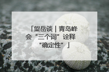 望岳谈｜青岛峰会“三个词”诠释“确定性”