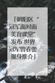 朝阳区“冠军面对面美育课堂”发布 世界冠军曾春蕾现身推介
