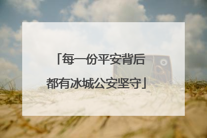 每一份平安背后 都有冰城公安坚守