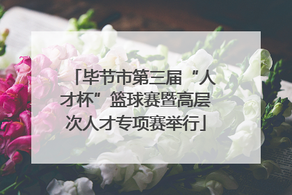毕节市第三届“人才杯”篮球赛暨高层次人才专项赛举行