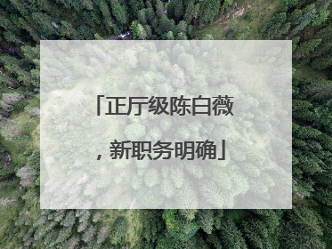 正厅级陈白薇，新职务明确