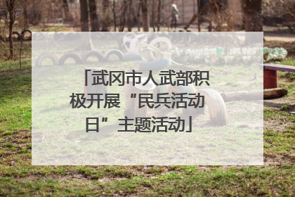 武冈市人武部积极开展“民兵活动日”主题活动