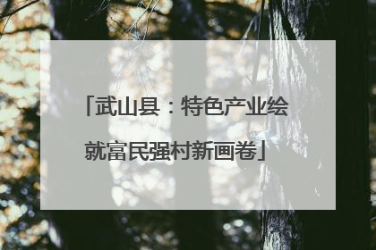 武山县：特色产业绘就富民强村新画卷