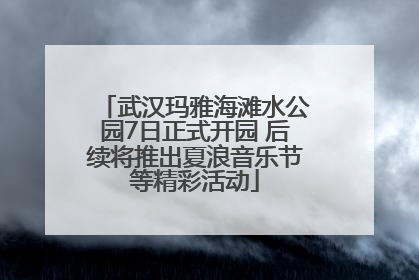 武汉玛雅海滩水公园7日正式开园 后续将推出夏浪音乐节等精彩活动