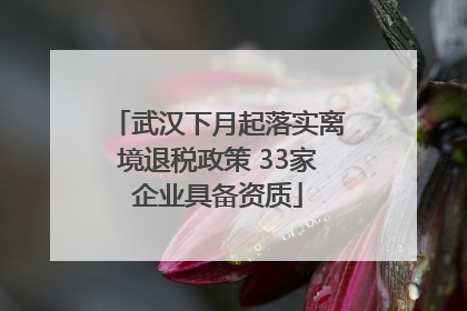 武汉下月起落实离境退税政策 33家企业具备资质