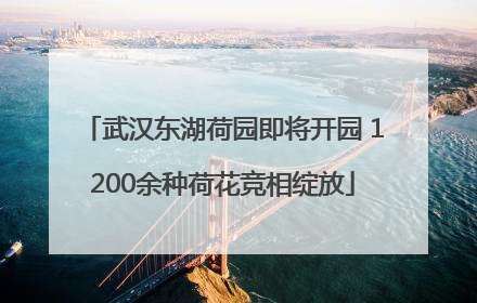 武汉东湖荷园即将开园 1200余种荷花竞相绽放
