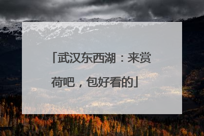 武汉东西湖：来赏荷吧，包好看的