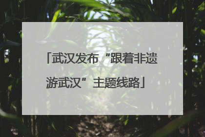 武汉发布“跟着非遗游武汉”主题线路