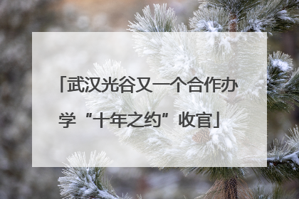 武汉光谷又一个合作办学“十年之约”收官