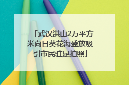 武汉洪山2万平方米向日葵花海盛放吸引市民驻足拍照