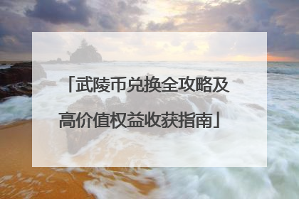 武陵币兑换全攻略及高价值权益收获指南