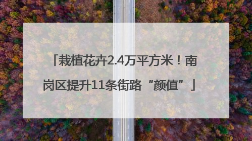 栽植花卉2.4万平方米！南岗区提升11条街路“颜值”