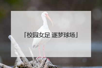 校园女足 逐梦球场