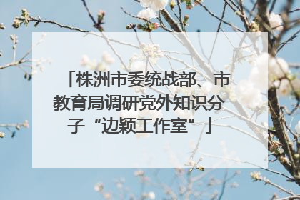 株洲市委统战部、市教育局调研党外知识分子“边颖工作室”