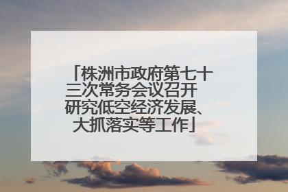 株洲市政府第七十三次常务会议召开 研究低空经济发展、大抓落实等工作