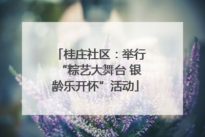 桂庄社区：举行“粽艺大舞台 银龄乐开怀”活动