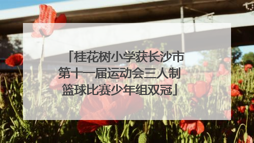 桂花树小学获长沙市第十一届运动会三人制篮球比赛少年组双冠