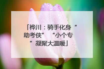 桦川：骑手化身“助考侠” “小个专”凝聚大温暖