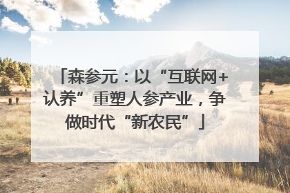 森参元：以“互联网+认养”重塑人参产业，争做时代“新农民”