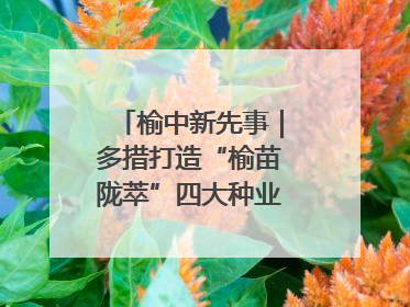 榆中新先事｜多措打造“榆苗陇萃”四大种业育苗品牌