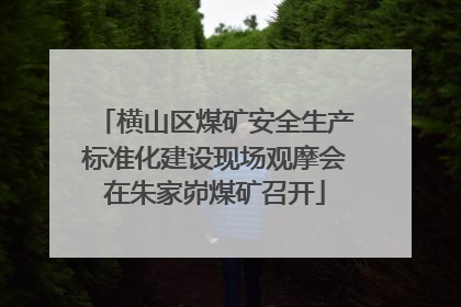 横山区煤矿安全生产标准化建设现场观摩会在朱家峁煤矿召开