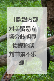 欧盟内部对美贸易立场分歧明显 德媒称谈判前景不乐观