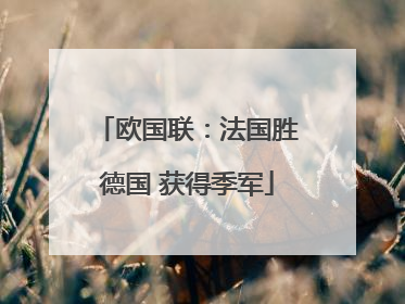 欧国联：法国胜德国 获得季军