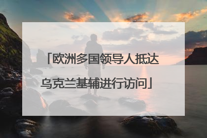 欧洲多国领导人抵达乌克兰基辅进行访问