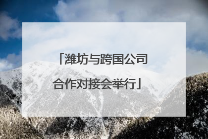 潍坊与跨国公司合作对接会举行