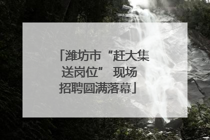 潍坊市“赶大集 送岗位” 现场招聘圆满落幕
