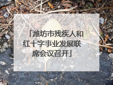 潍坊市残疾人和红十字事业发展联席会议召开