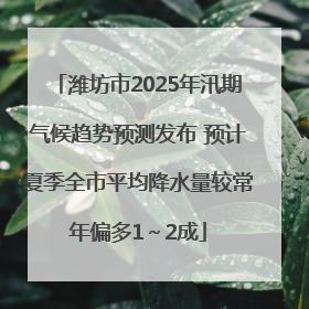 潍坊市2025年汛期气候趋势预测发布 预计夏季全市平均降水量较常年偏多1～2成