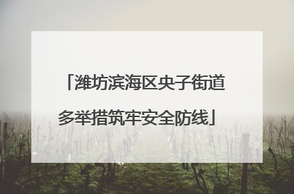 潍坊滨海区央子街道多举措筑牢安全防线