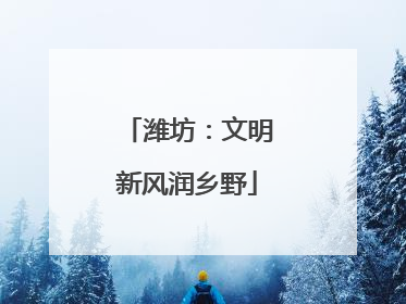 潍坊：文明新风润乡野