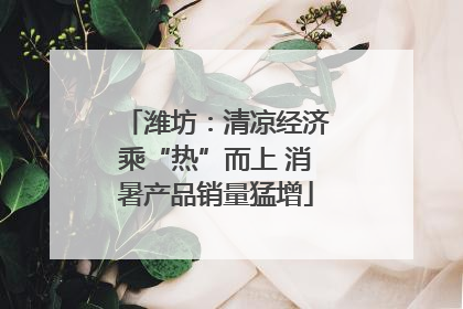 潍坊：清凉经济乘“热”而上 消暑产品销量猛增